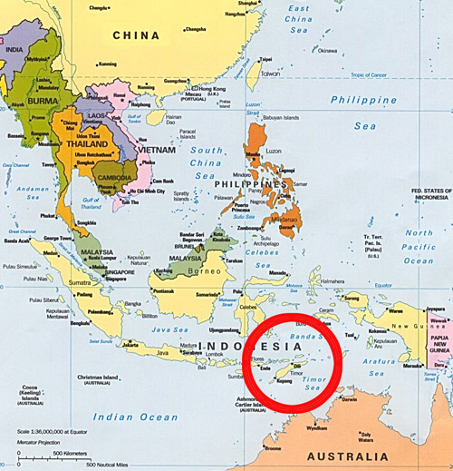 http://www.eclatsdeguerre.com/wp-content/uploads/2010/11/Timor_Leste_map.jpg
